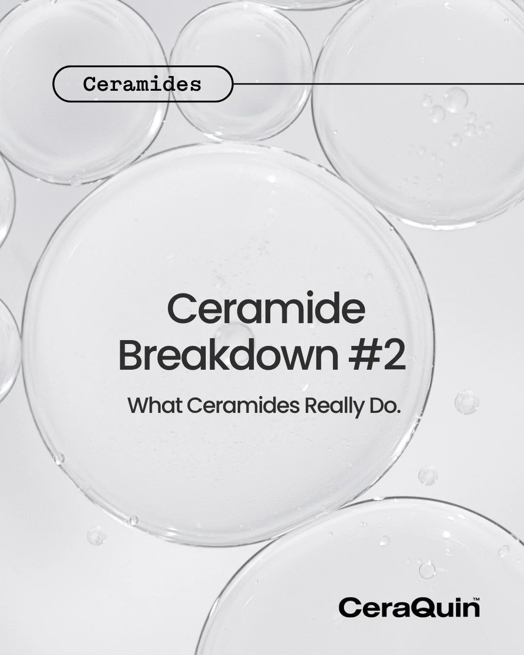 Ceraquin&rsquo;s Ceramide Breakdown 🤍
2 of the 5 ceramides in our range that work together to support your skin barrier, boost hydration, and keep skin feeling healthy, balanced, and resilient. ✨
LINK IN BIO
.
.
.
#Ceraquin #ceramides #skincare #ski