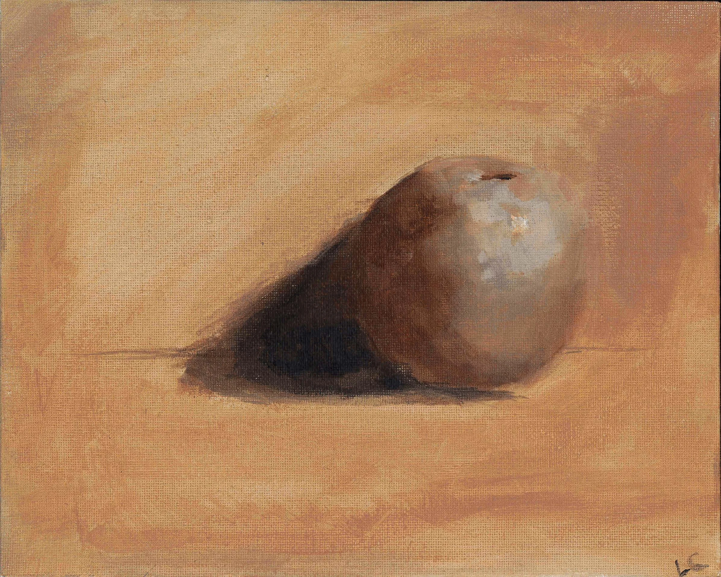 Lydia Cunningham_Portfolio 2023.jpeg