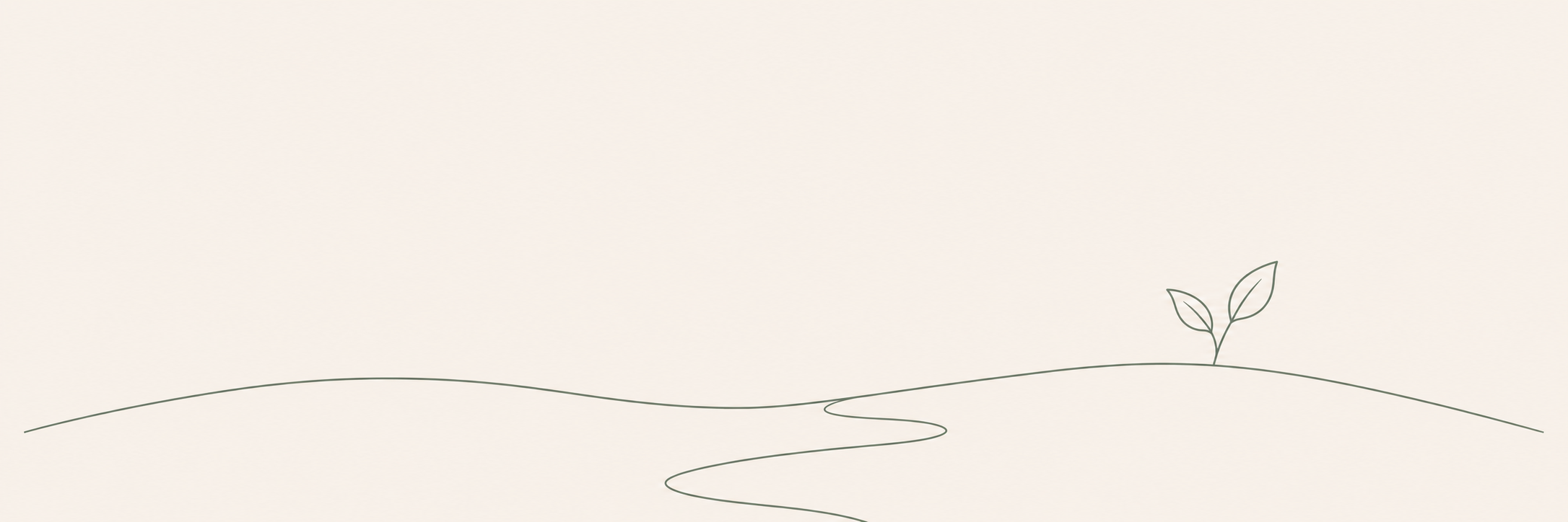 Minimalist line drawing of a small plant with two leaves, a winding path, and a simple horizon line on a light background.