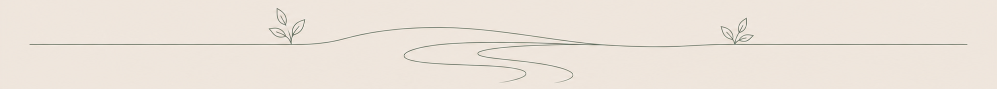 Simple line drawing of two leaves on each side with a winding path between them.