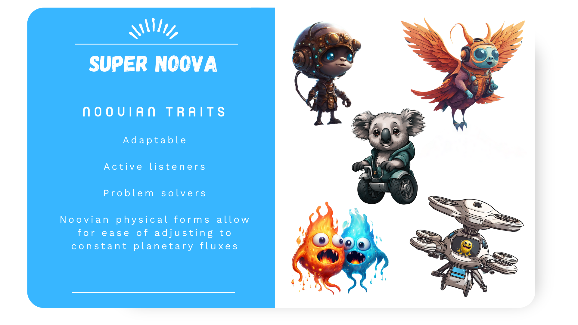 Super Noova Information Card 2