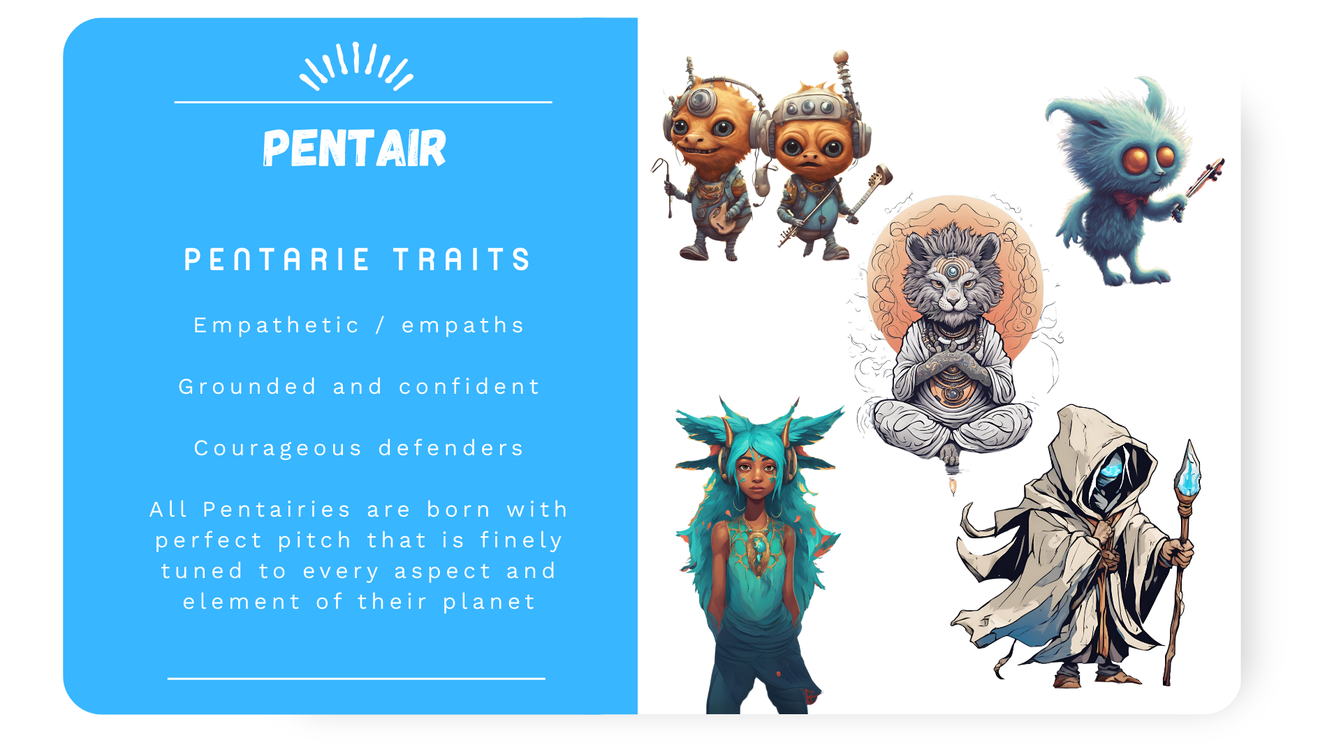 Pentair Information Card 2