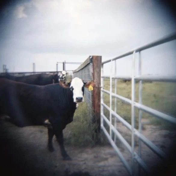 Archives Medium Format © 2025 Catherine Jimenea