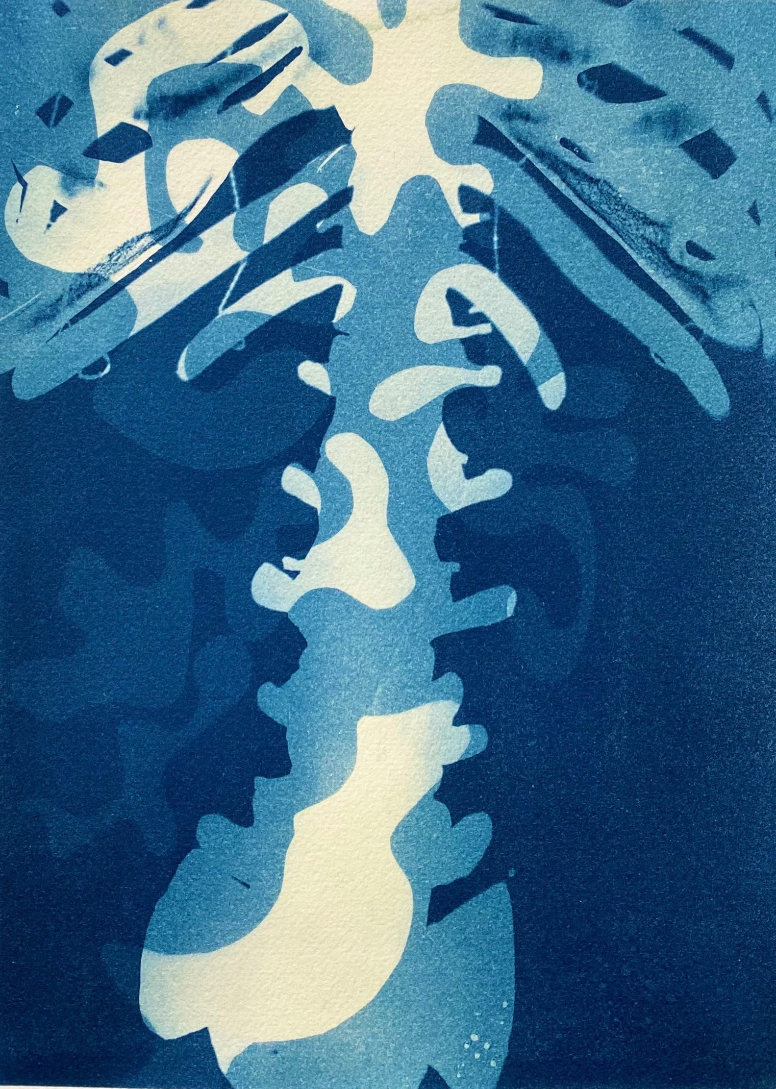 No.24
11x14