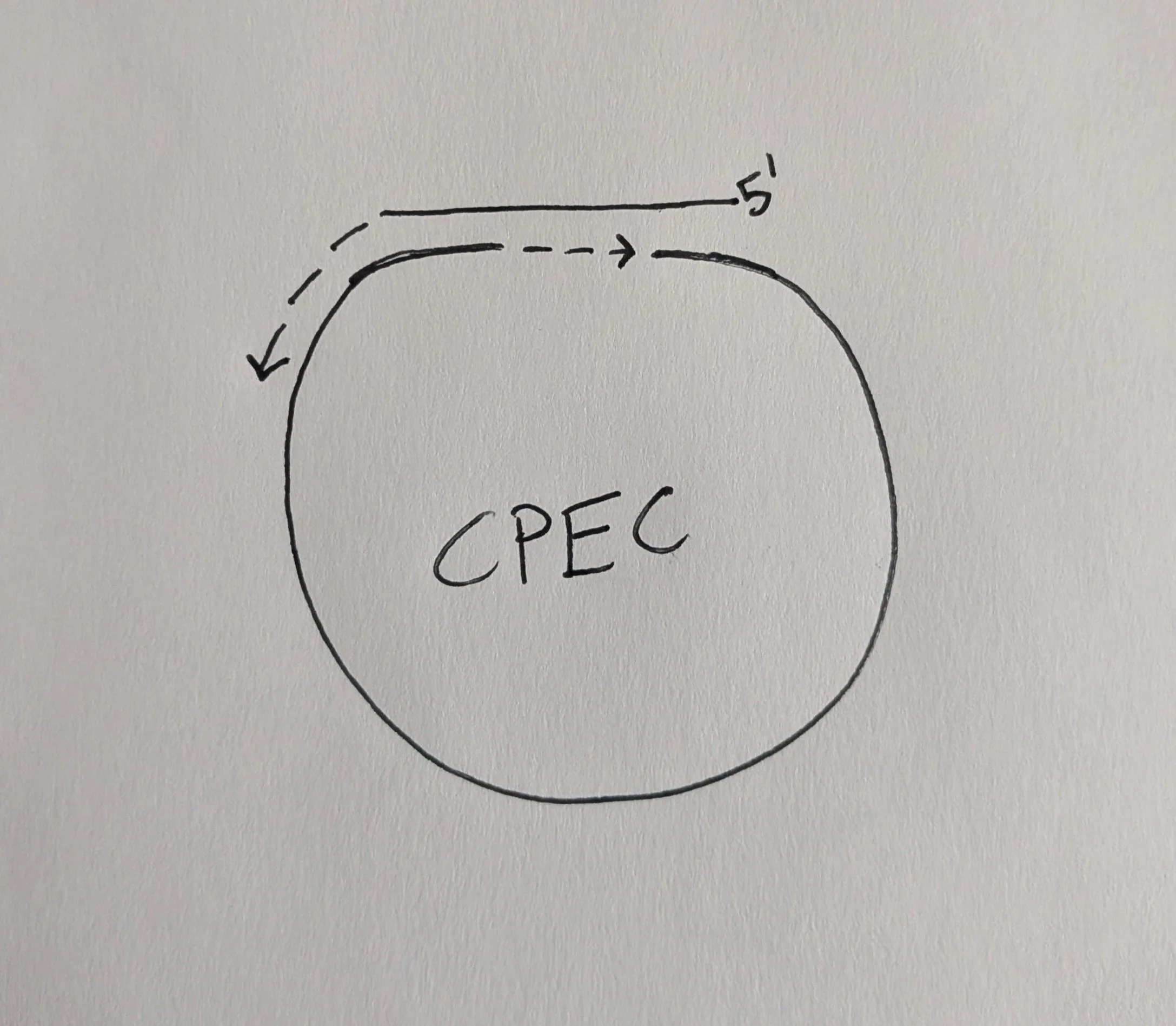 Circular polymerase extension cloning (CPEC)