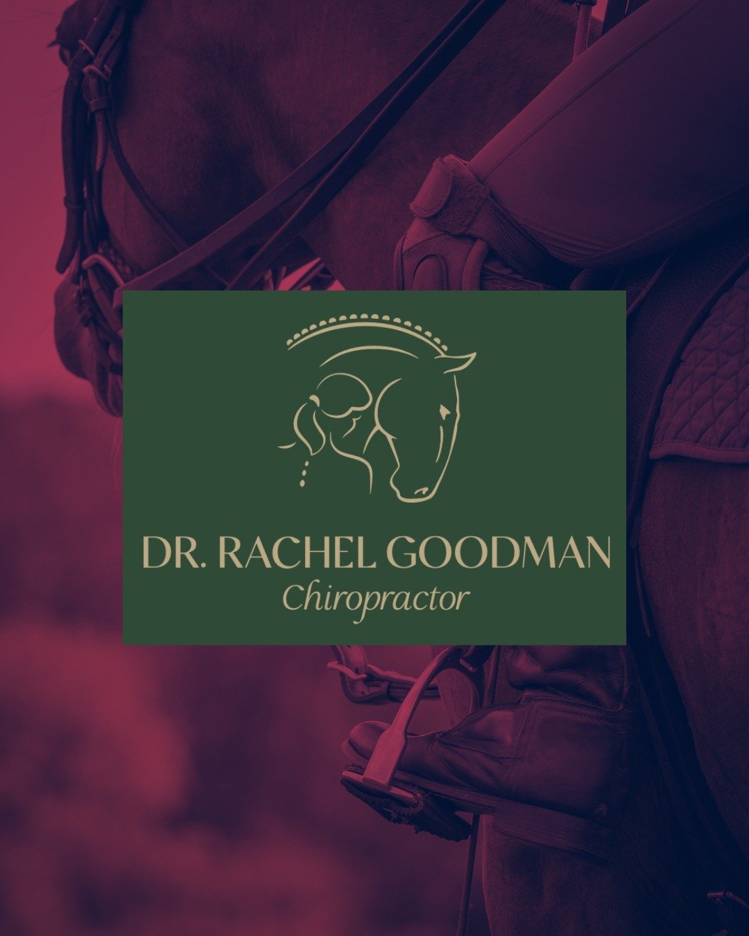 We're excited to welcome back the incredible Dr. Rachel Goodman Chiropractor as our CWOPC Best Playing Pony Sponsor! 

Her commitment not only supports our event but also highlights the importance of equine wellness and care. 🐎

Join us in celebrati