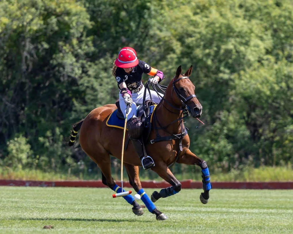 Pony power was on full display at this year&rsquo;s Canadian Women&rsquo;s Open and Pennycook Memorial. 🐎✨

From seasoned tournament horses to standout Thoroughbreds finding second careers in polo, the horsepower showcased throughout the week helped