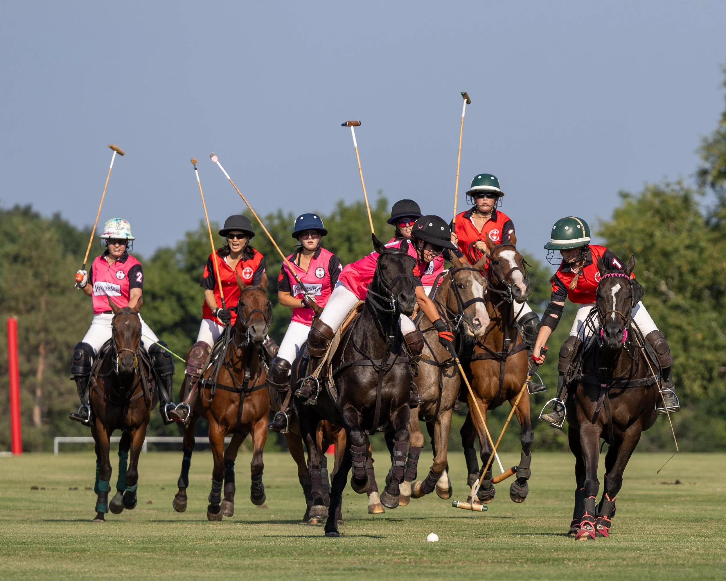 Several women playing polo on horseback, wearing helmets and sports uniforms, with a white ball on the grass field and trees in the background.