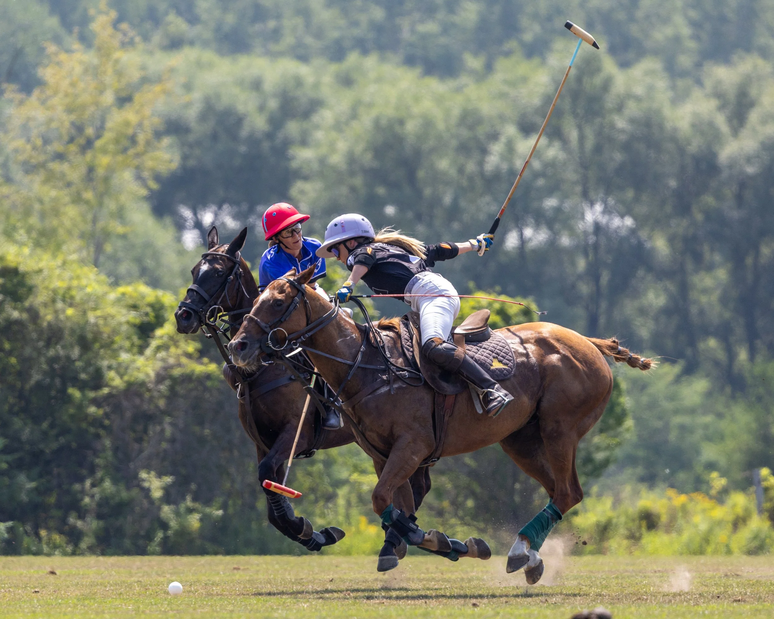 Two female polo players riding horses, one in a red helmet and the other in a white helmet, during a polo match. The player in black is reaching out with a mallet to hit the ball.