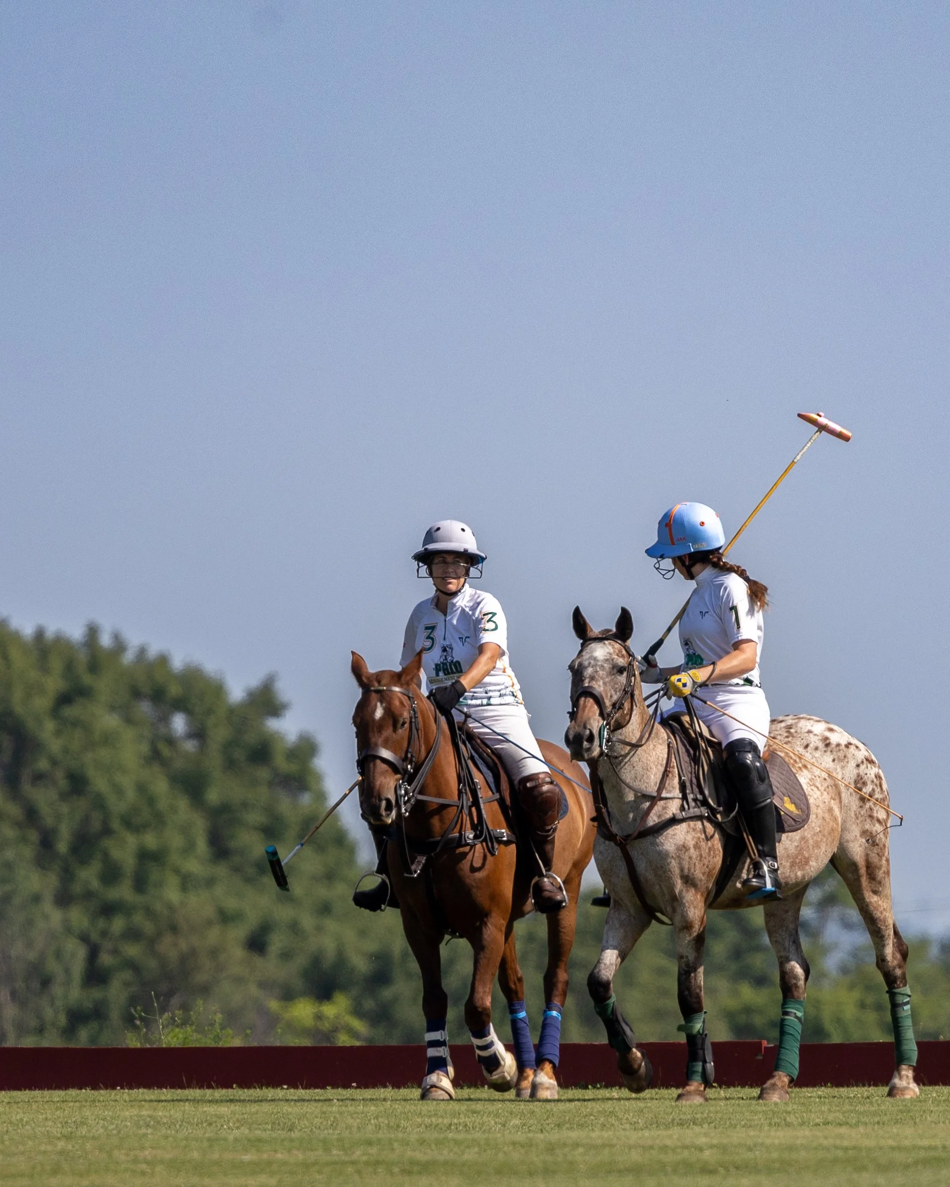 Two polo players riding horses on a field, wearing helmets and uniforms, with one player holding a mallet.