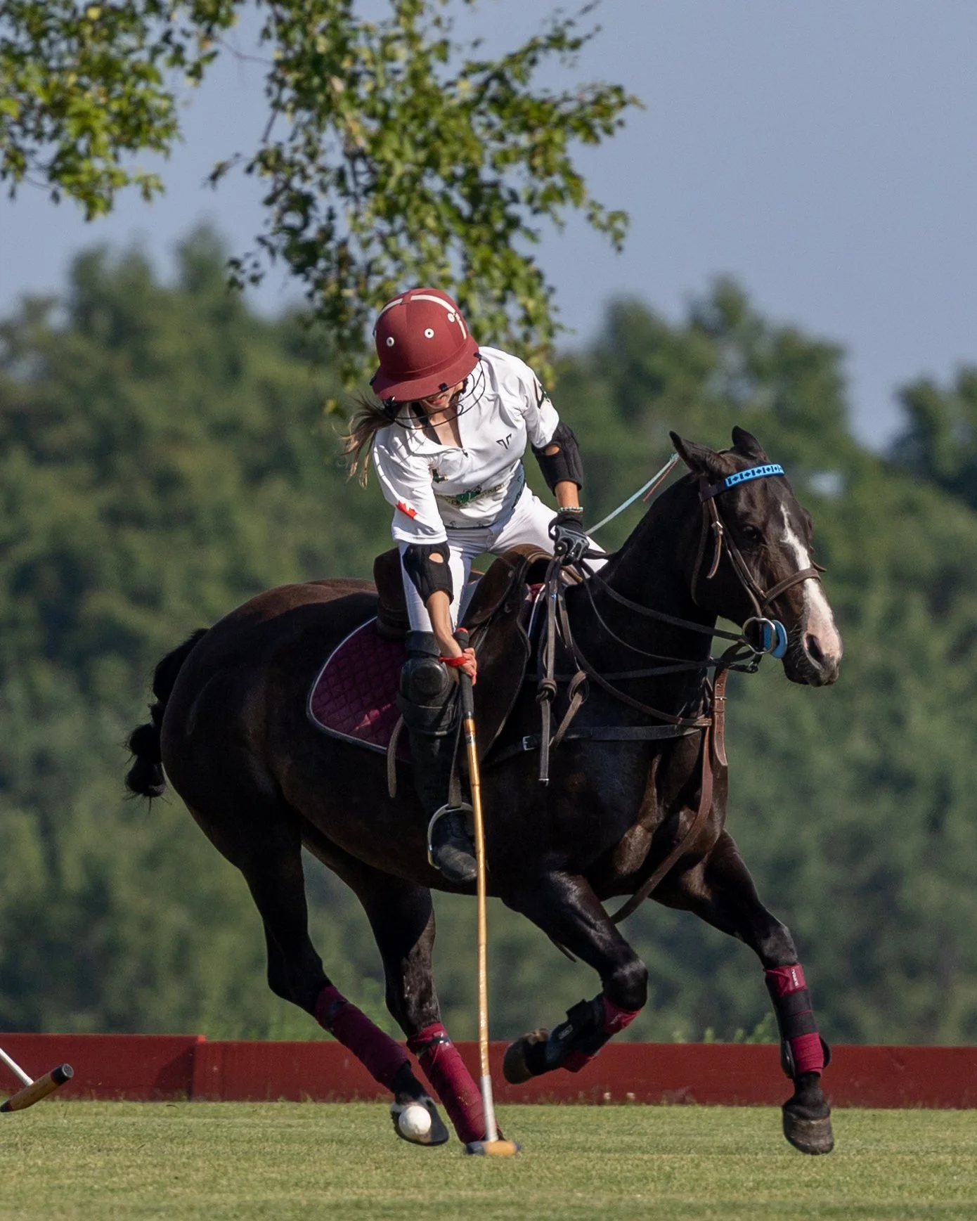A female polo player riding a black horse with a white star on its forehead, wearing a maroon helmet, white polo uniform, and black gloves, about to hit a white polo ball with a mallet on a grassy field with trees in the background.