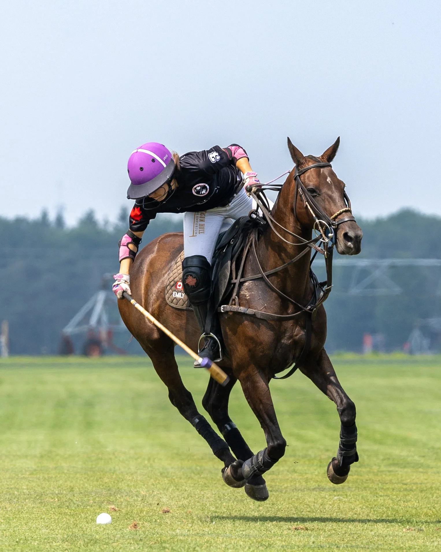 A female polo player wearing a purple helmet, pink gloves, and a black jersey with white shorts playing polo on a brown horse on a grassy field.