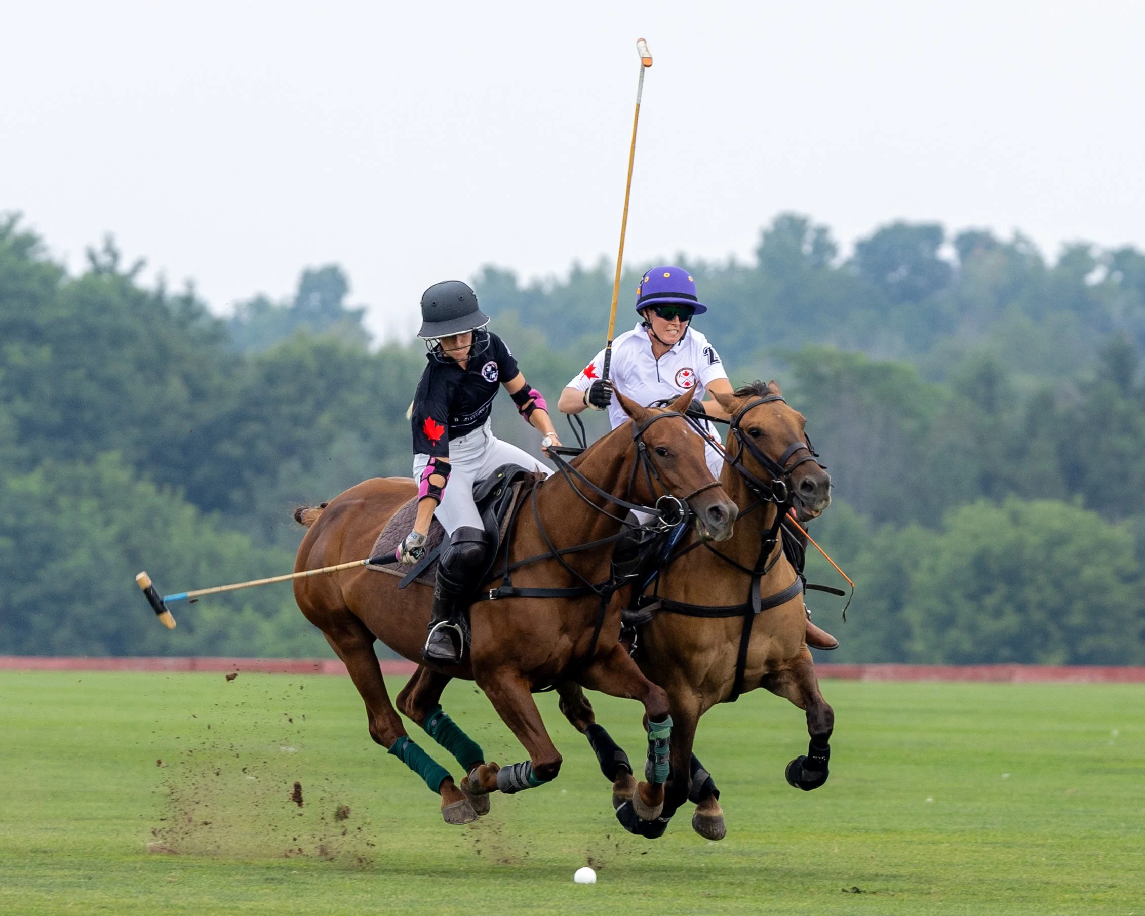 Two polo players on horseback competing in a match, each wearing helmets and holding mallets, with a background of trees and a truck trailer.