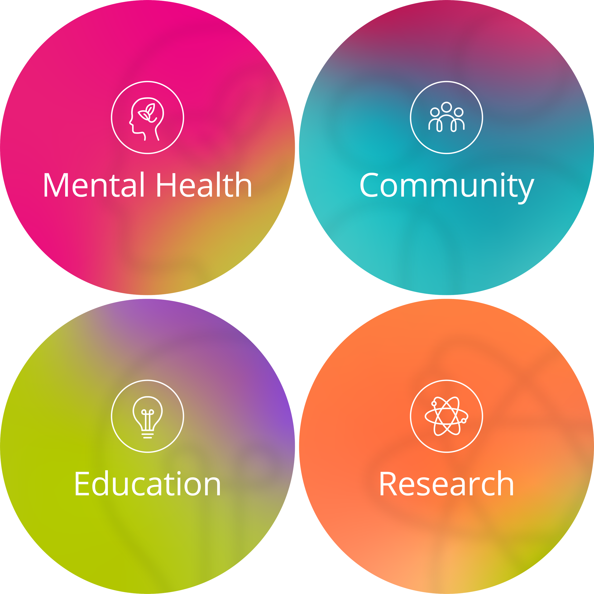 Four colorful circles labeled Mental Health, Community, Education, and Research, each with relevant icons.