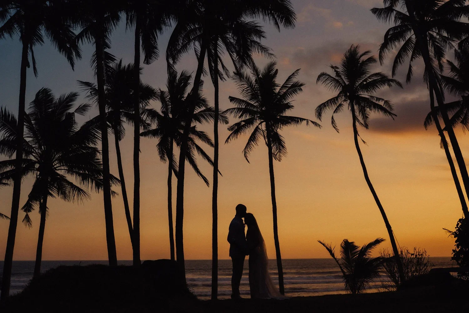 Silhouette of a couple kissing on a beach at sunset, surrounded by palm trees.