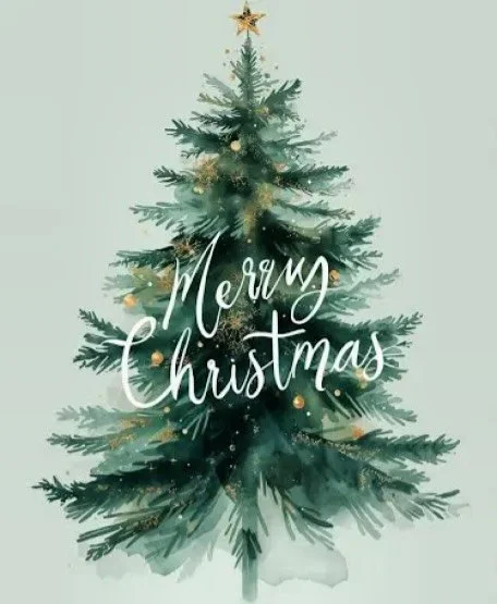 Merry Christmas everyone 🎄