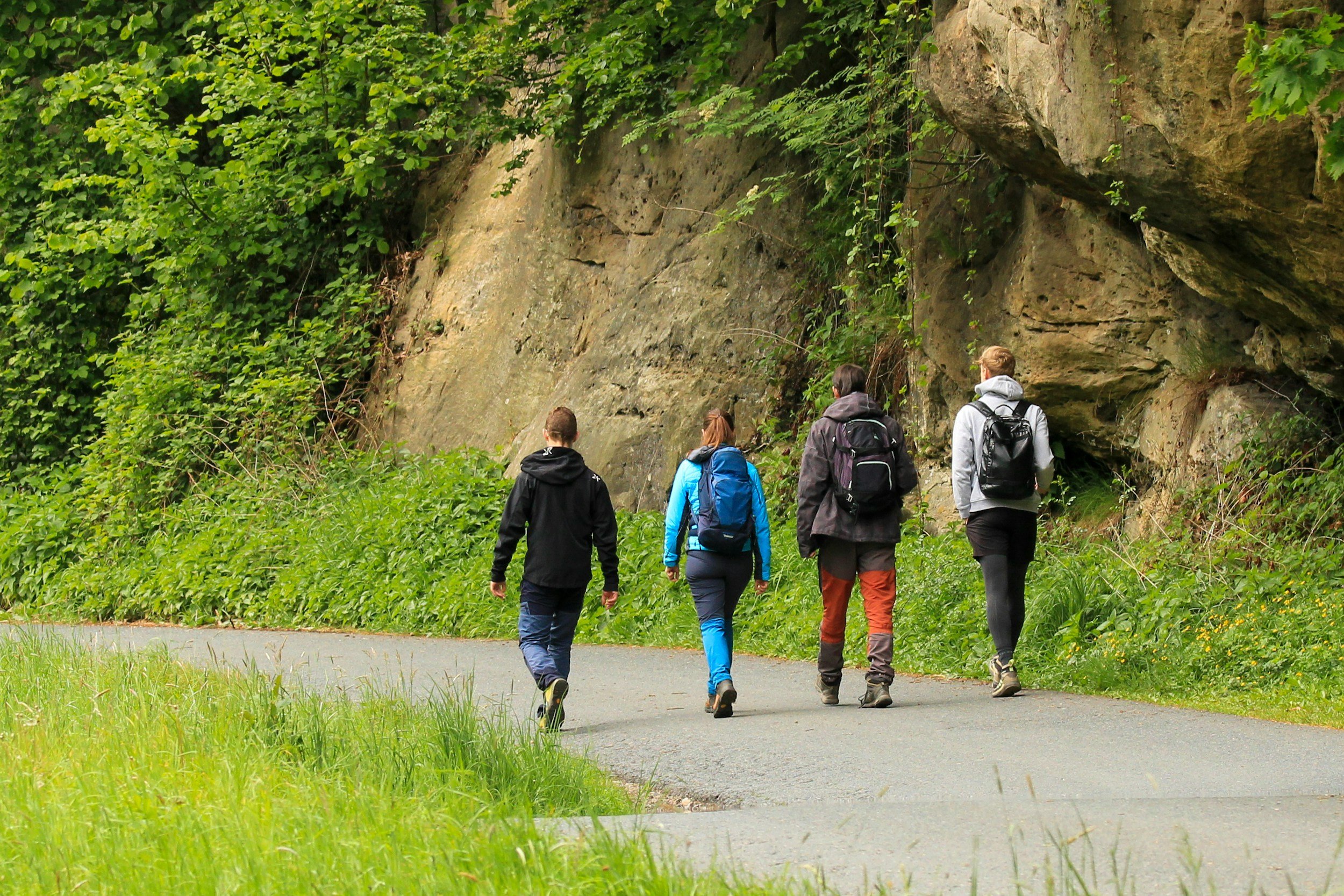 Guided Nature Walk at Garden of the Gods