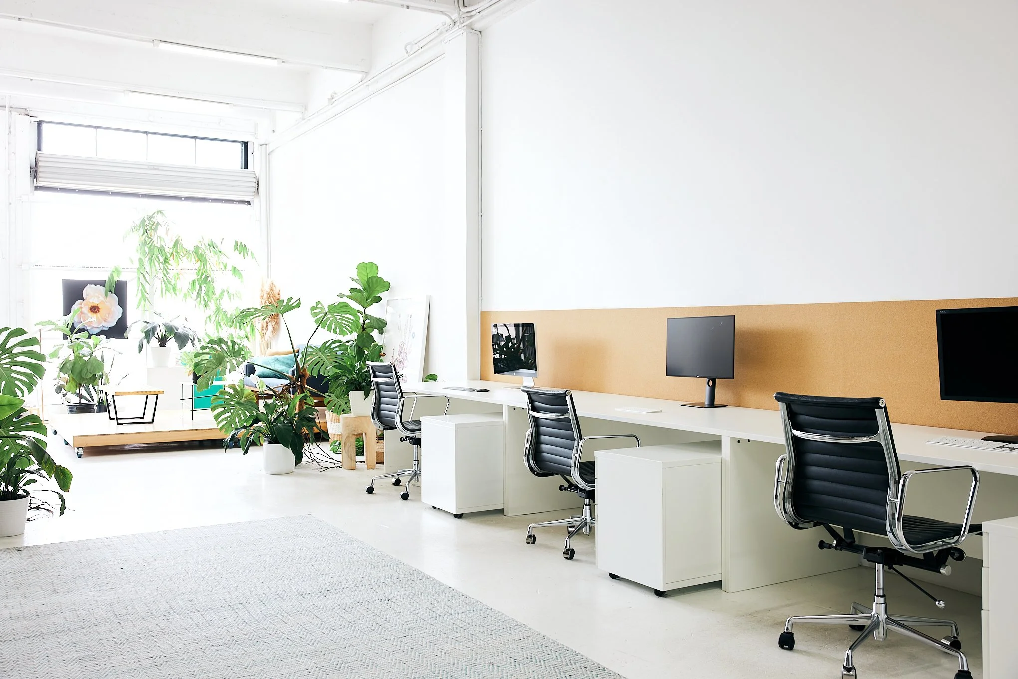 Modern office space with minimalist desks, ergonomic chairs, potted plants, and a white color scheme.