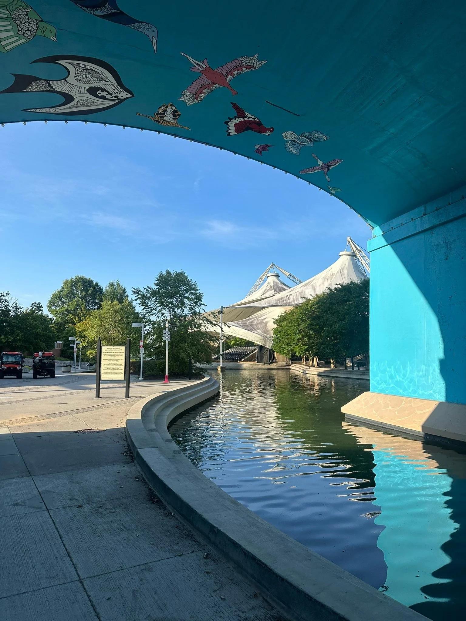 Morning walk looks a little different today.