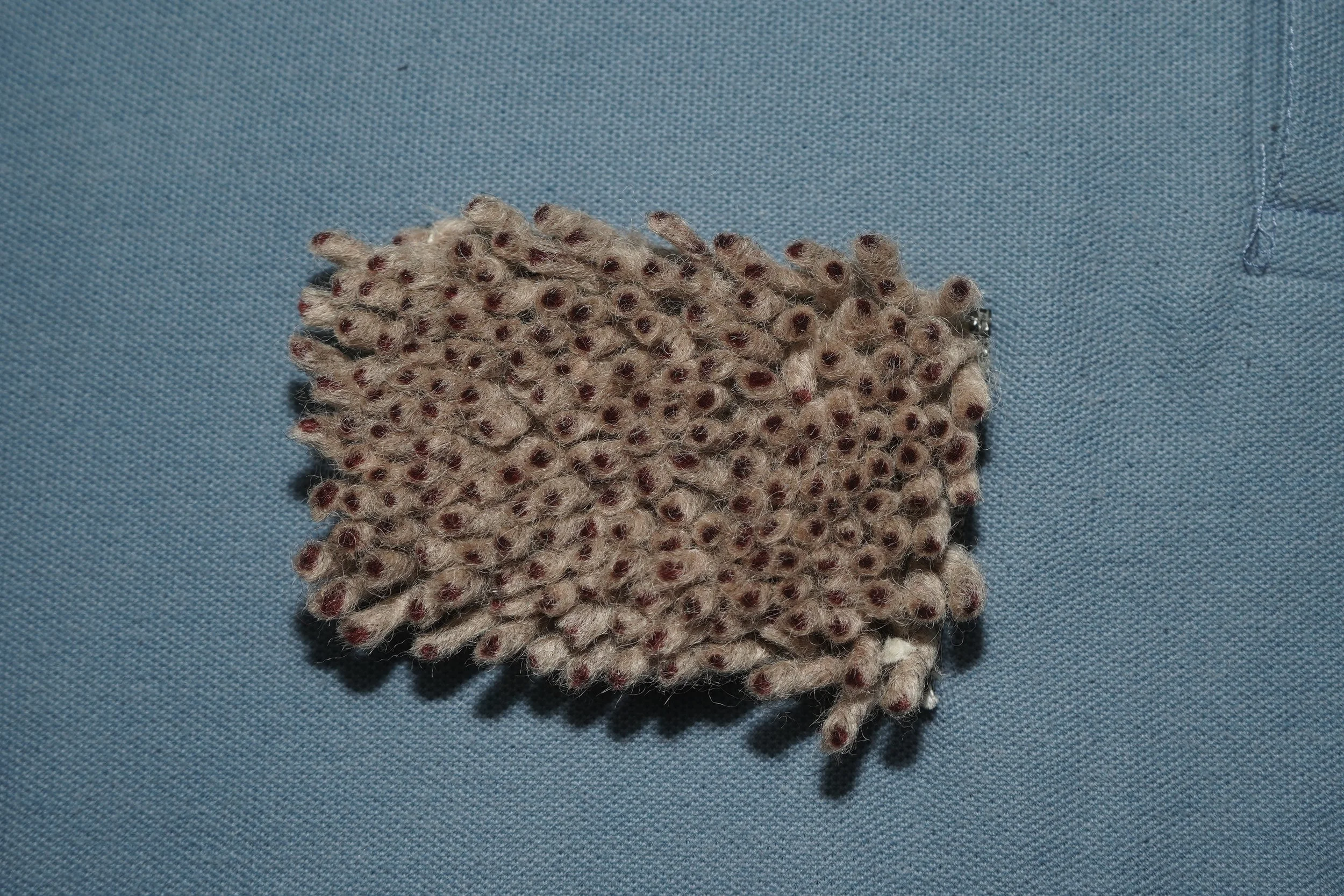 DSC01387.JPG