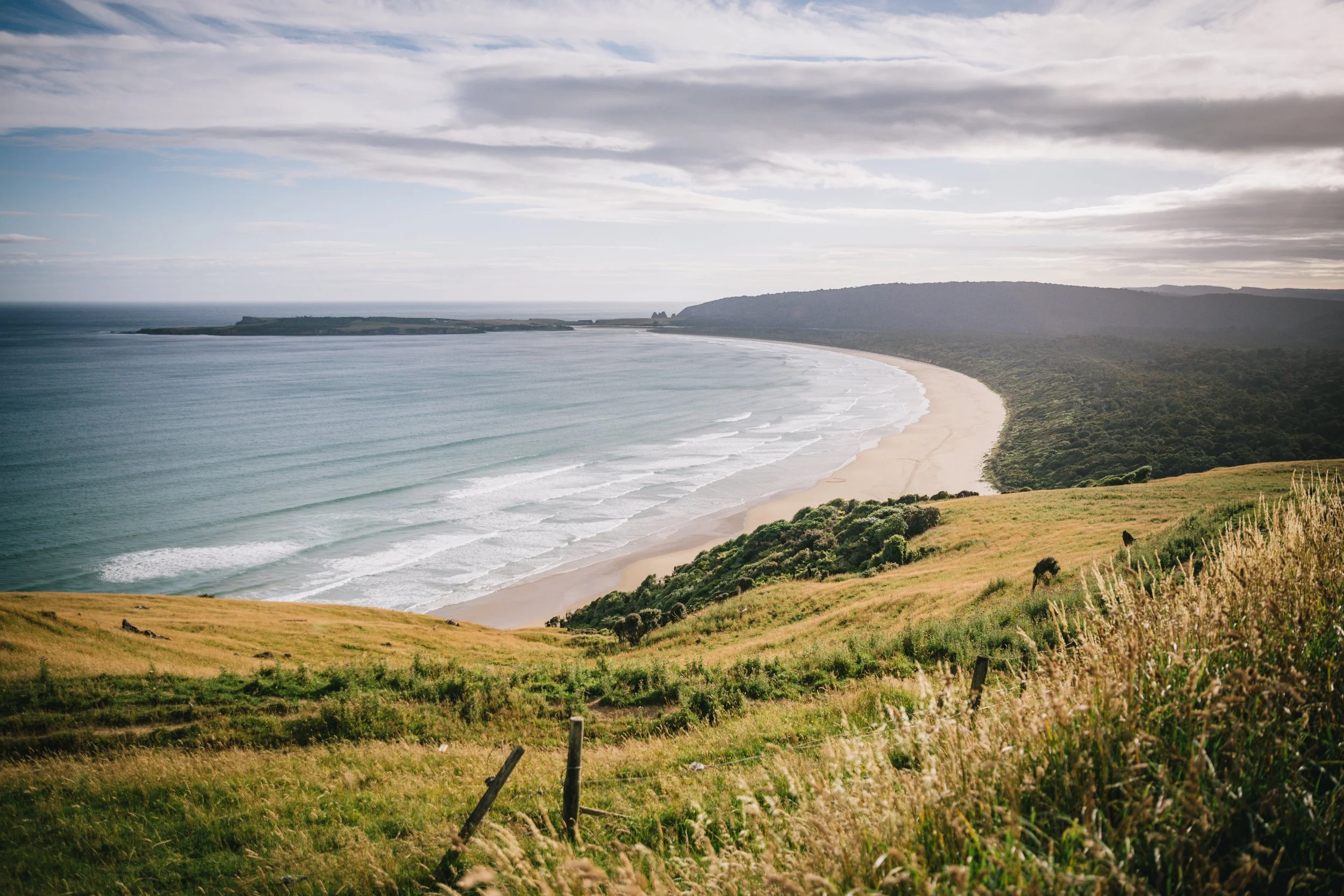 Getting to Stewart Island