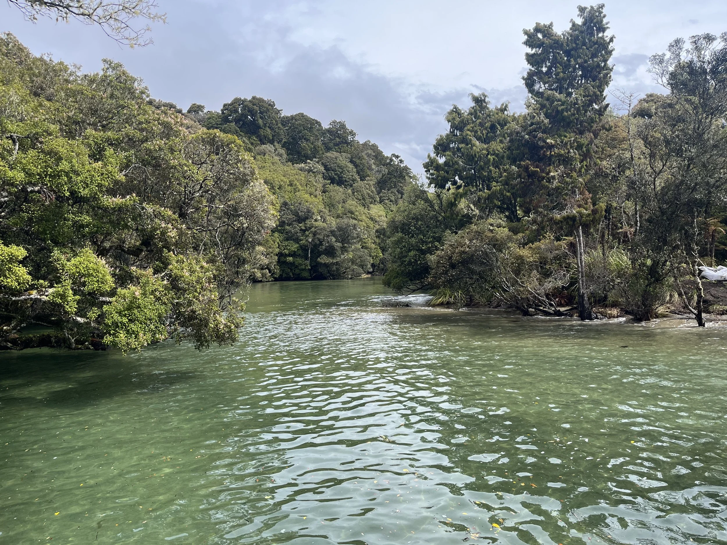 What to book on Stewart Island