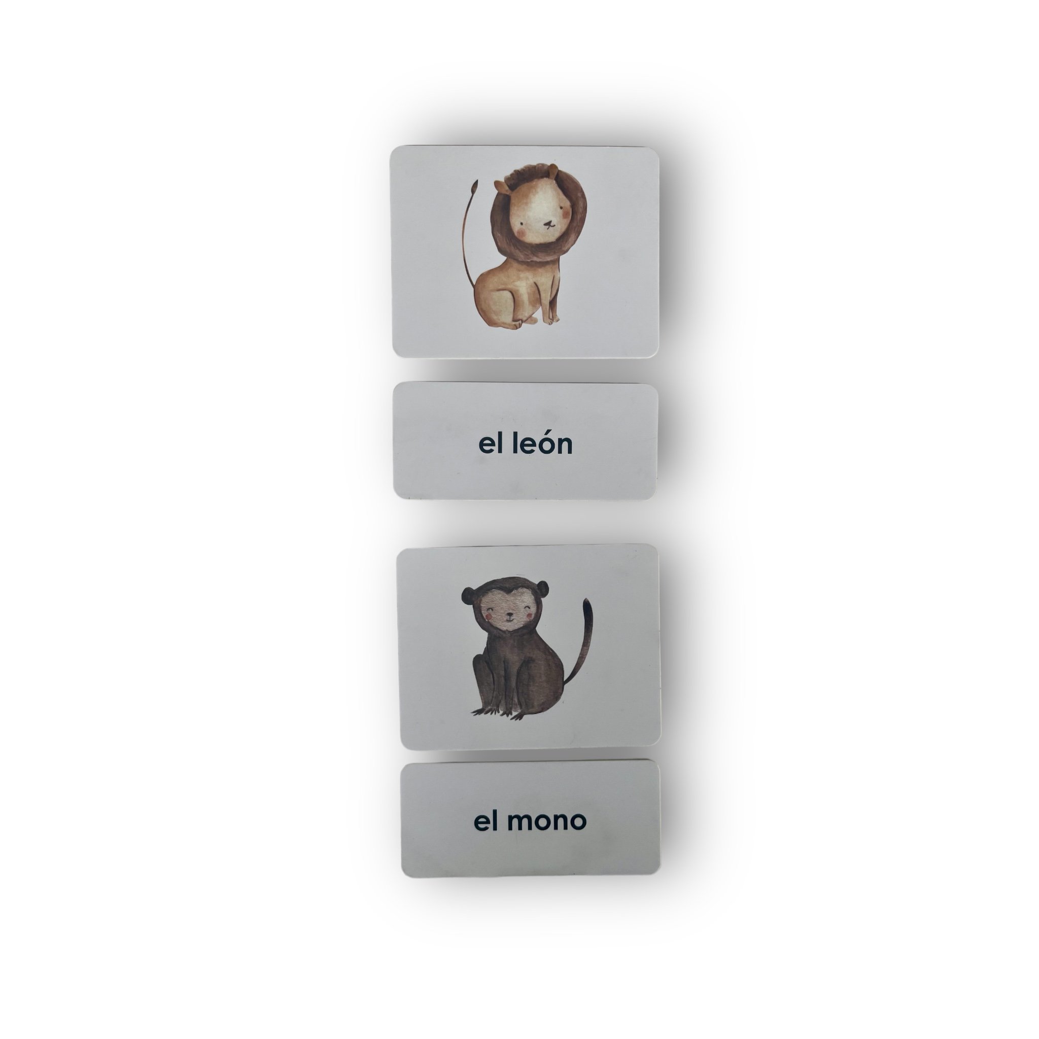Wild Animal 3 Part Cards