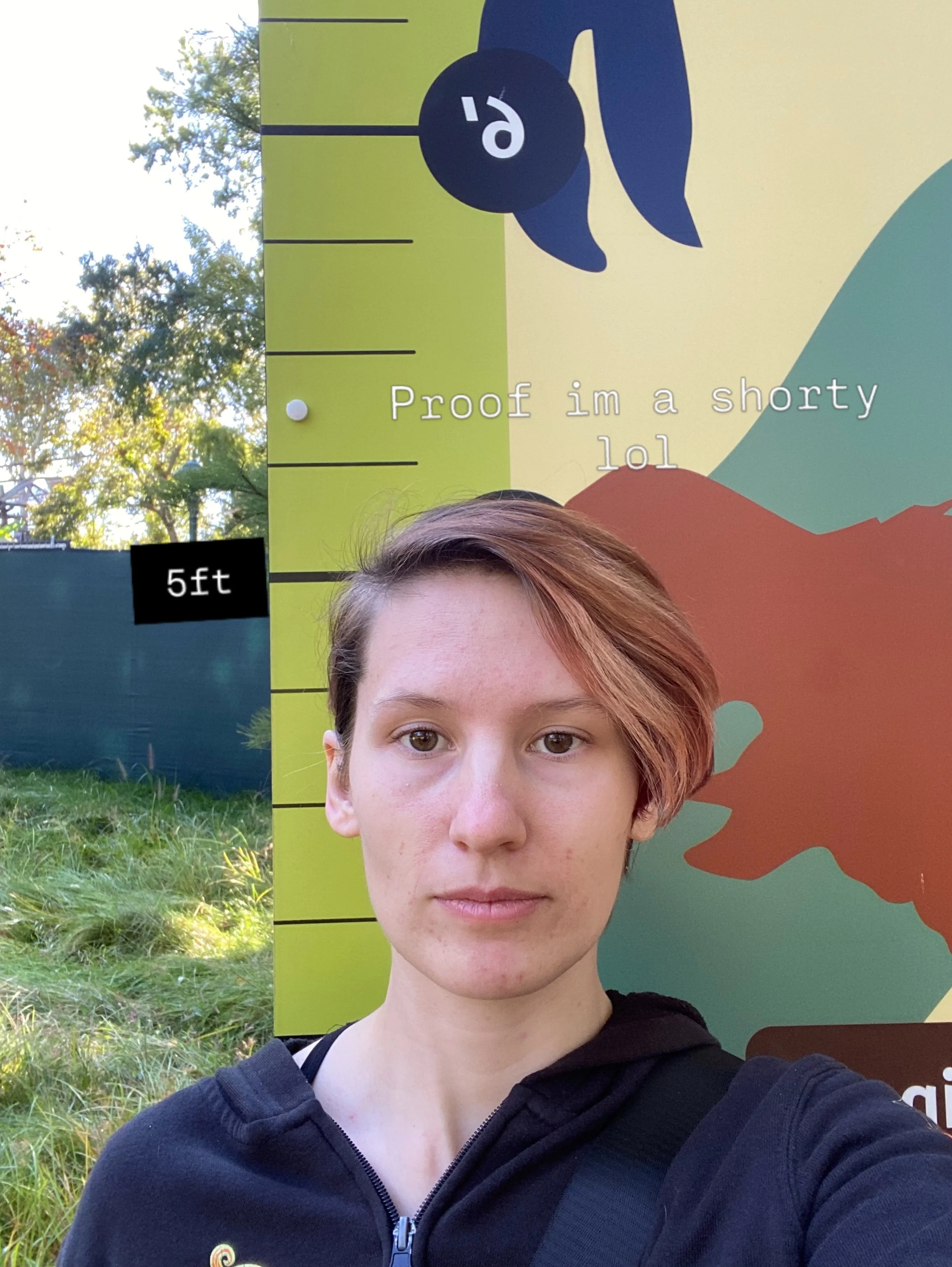 At the saint louis zoo there was a Dino area with a height checker. Here is proof of my &ldquo;short stack&rdquo; lol
