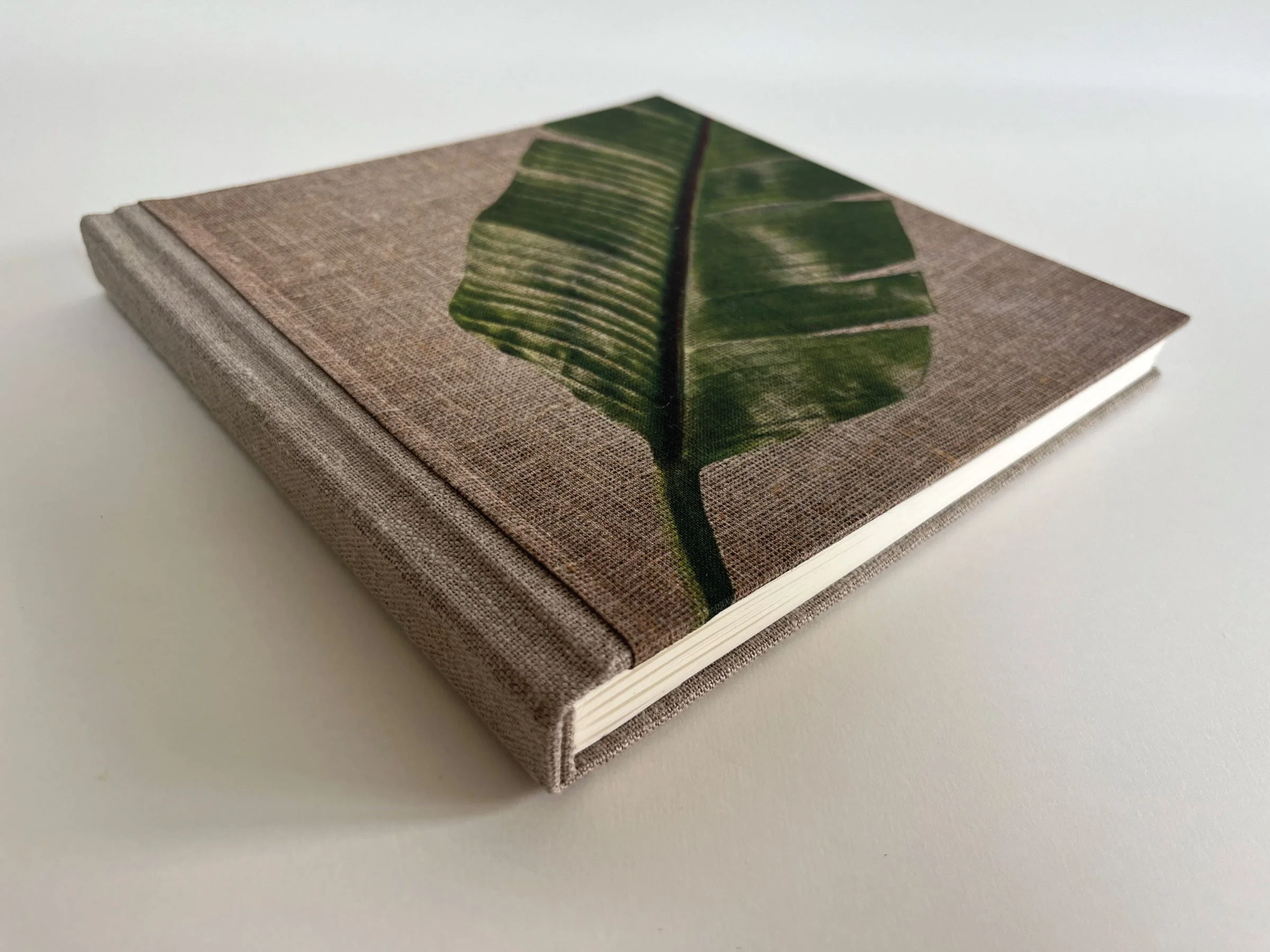 Leaf3.jpg