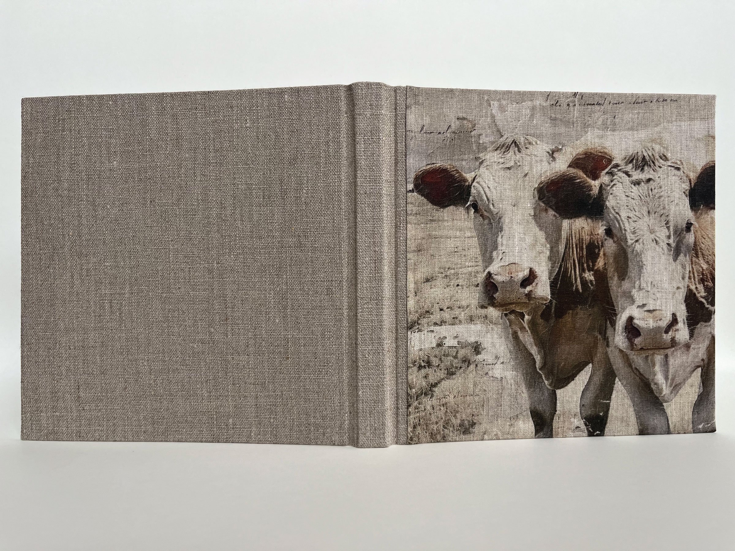 Cows6.jpg