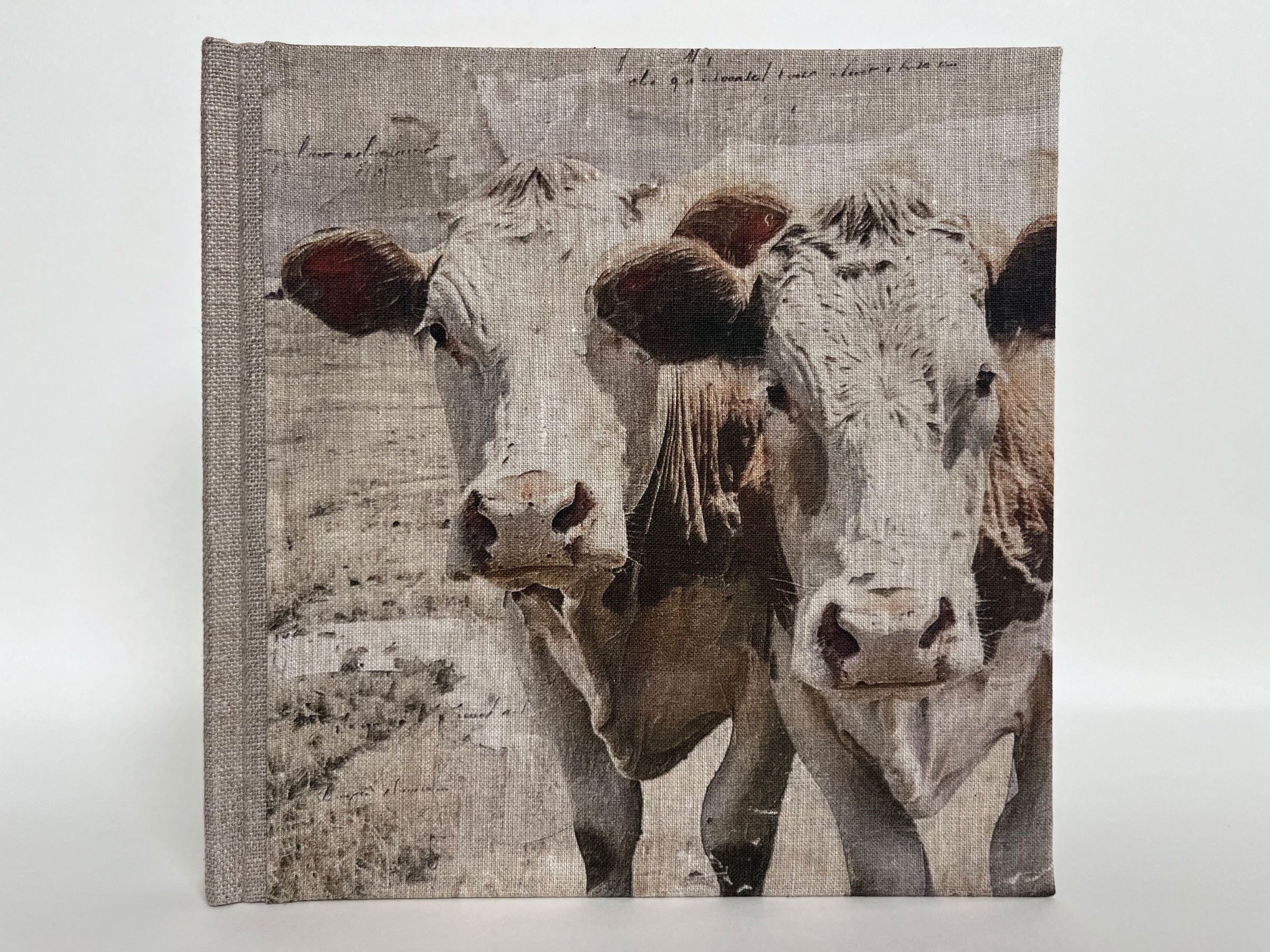 Cows1.jpg