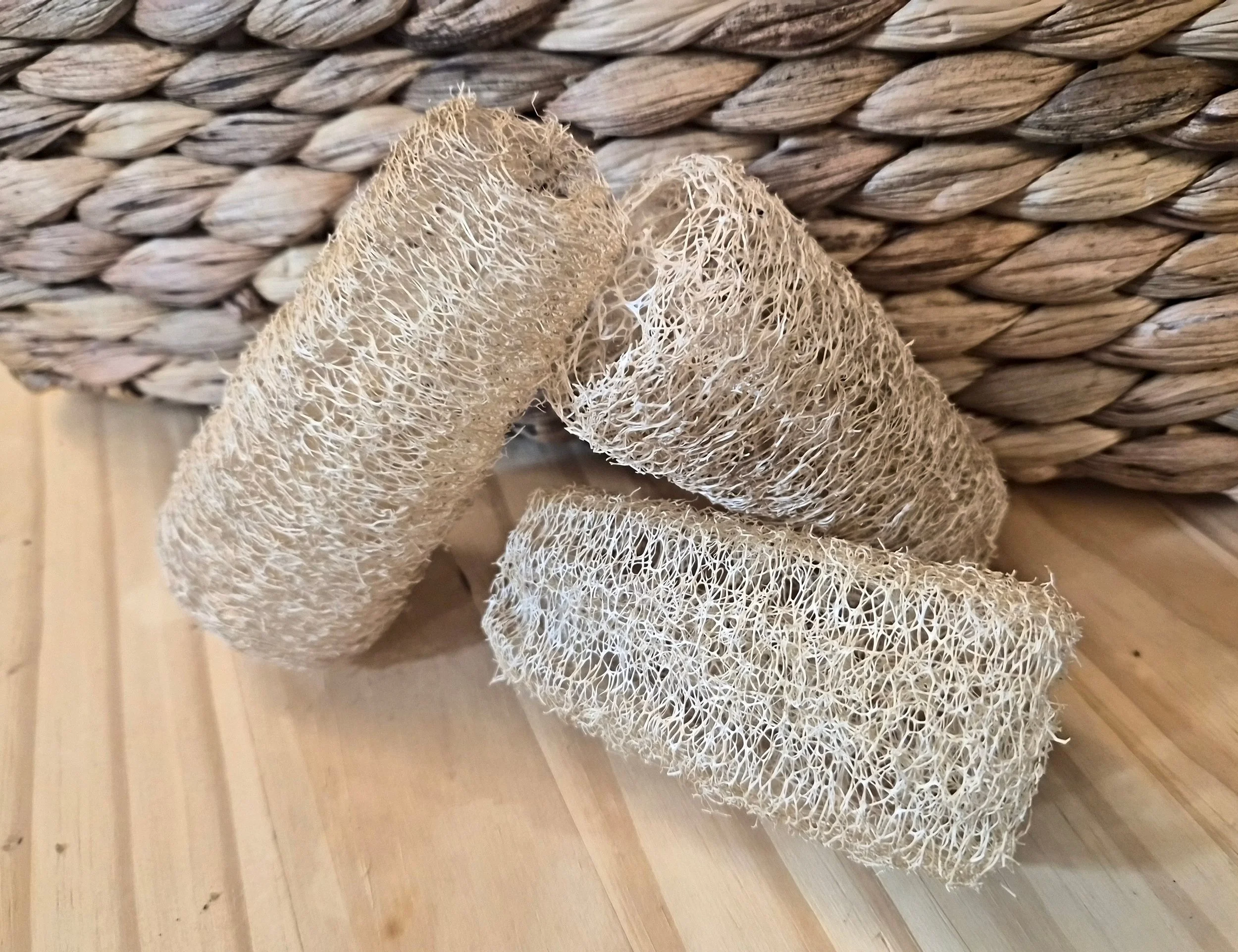 ICS_Loofah Detail.jpg