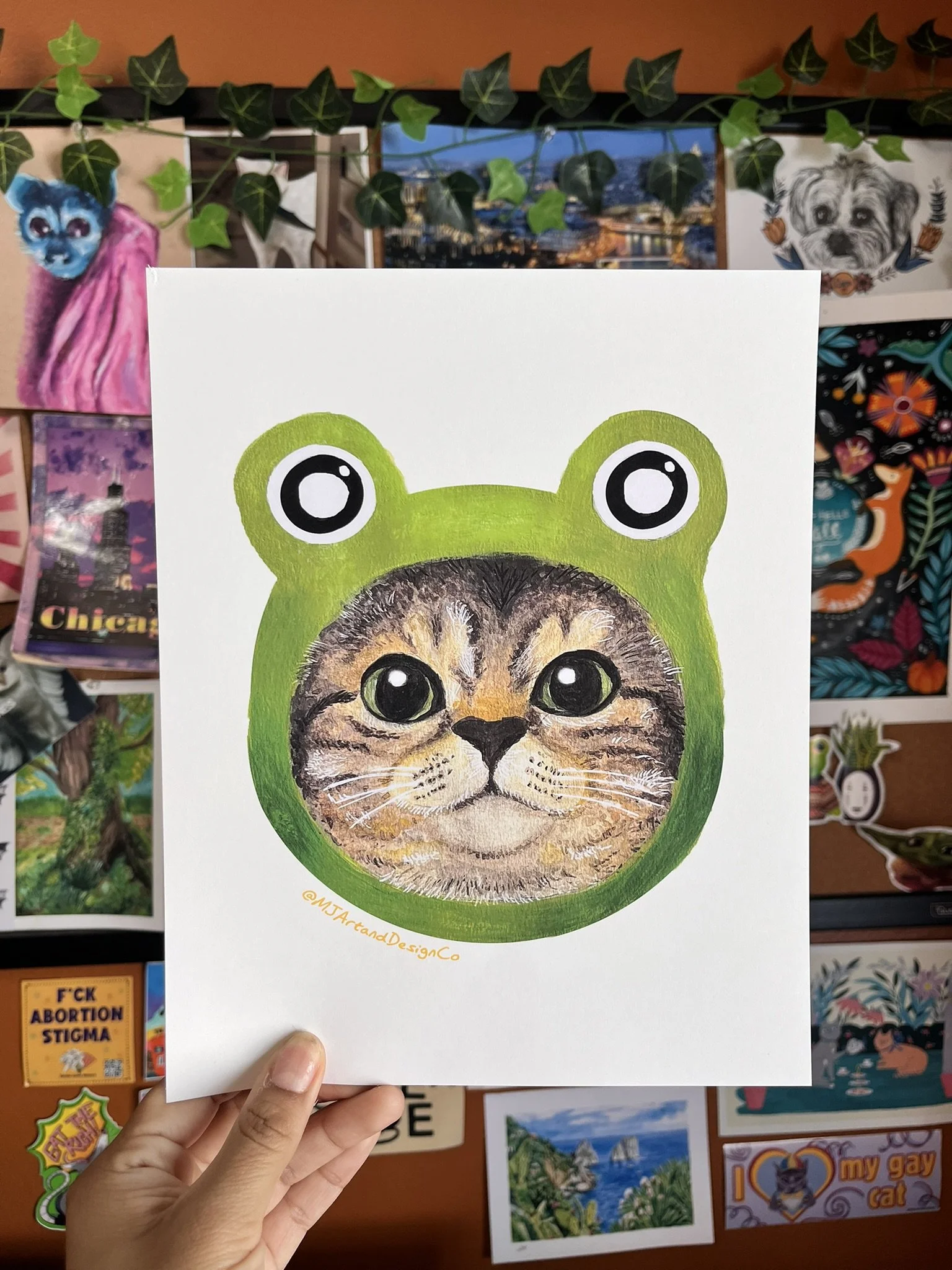 Frog cat.JPEG