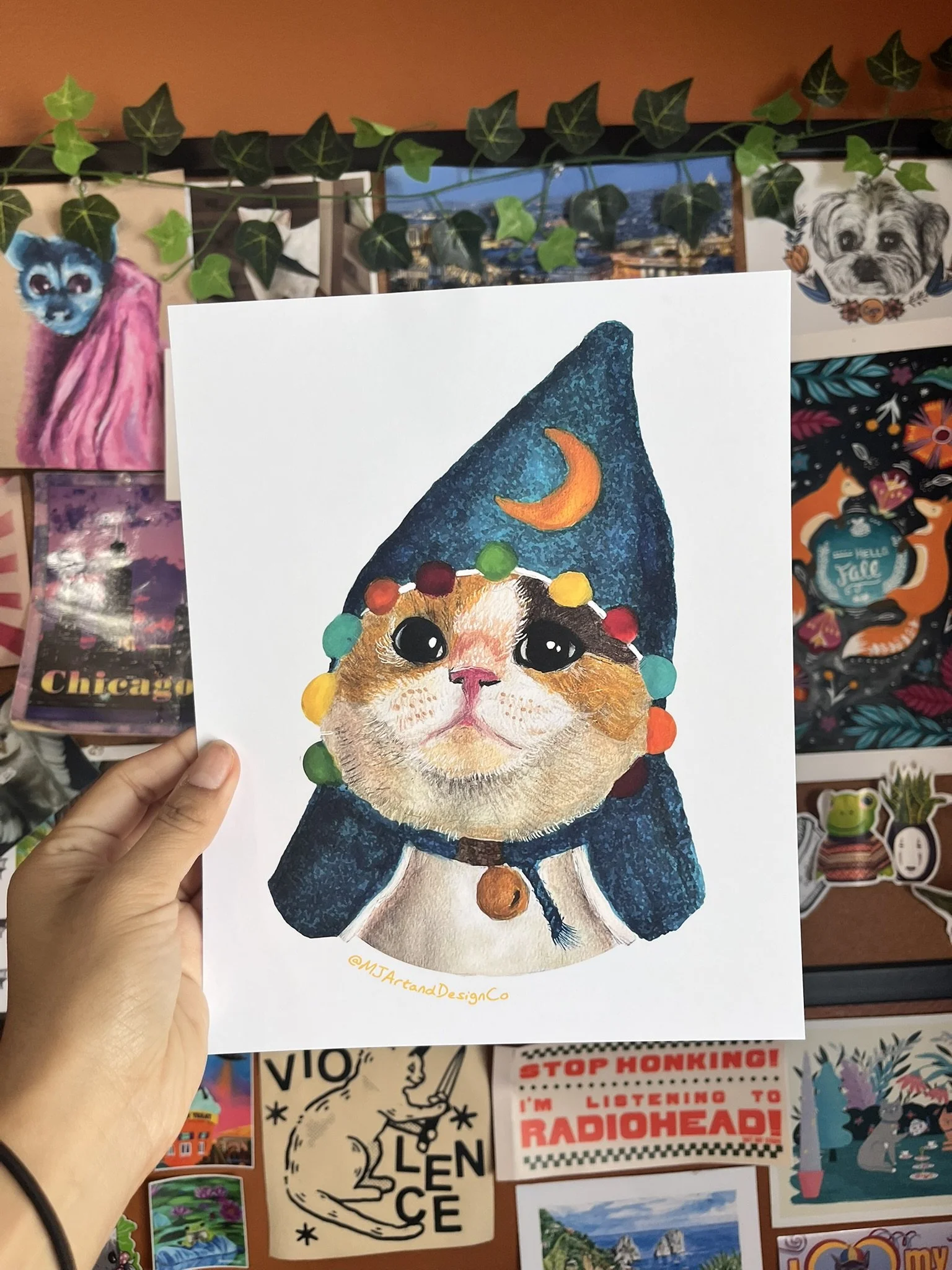Wizard cat.JPEG