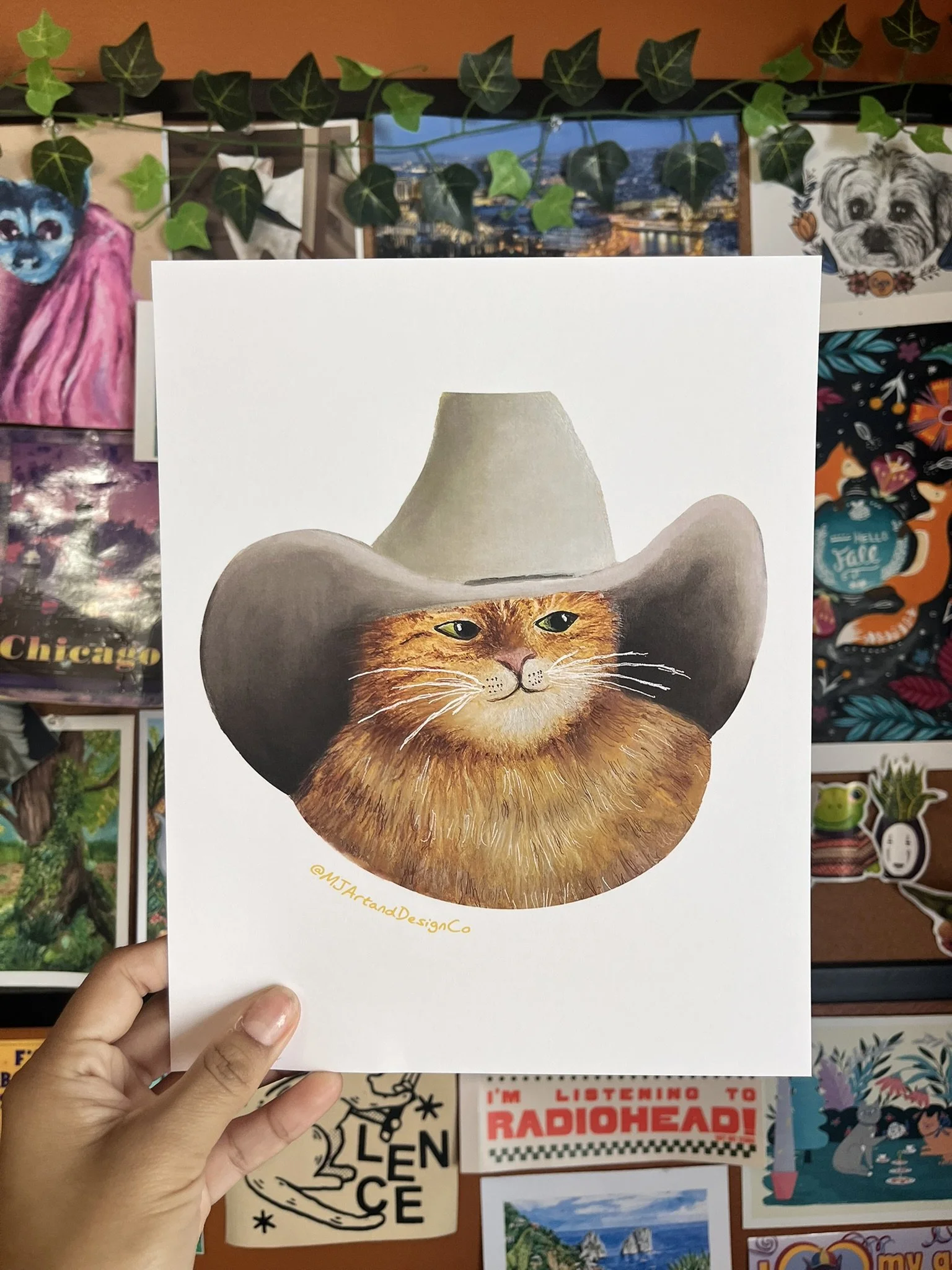 Cowboy cat.JPEG
