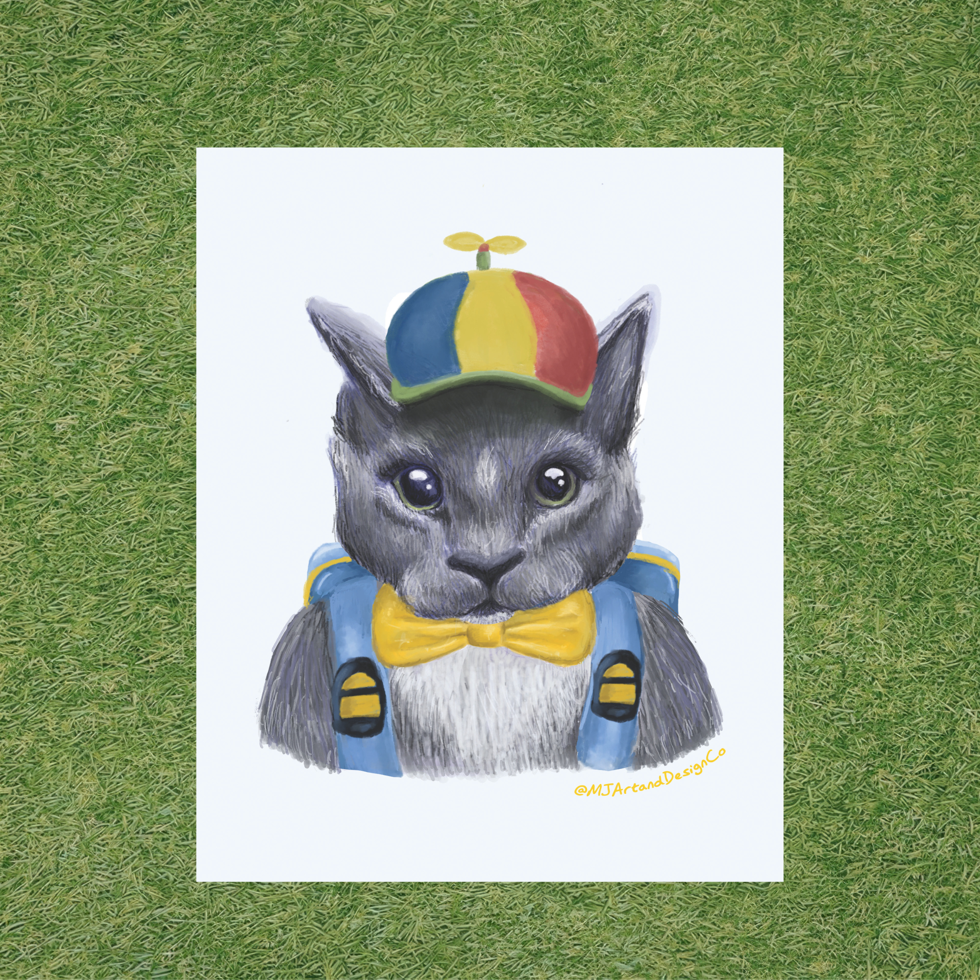 5.png