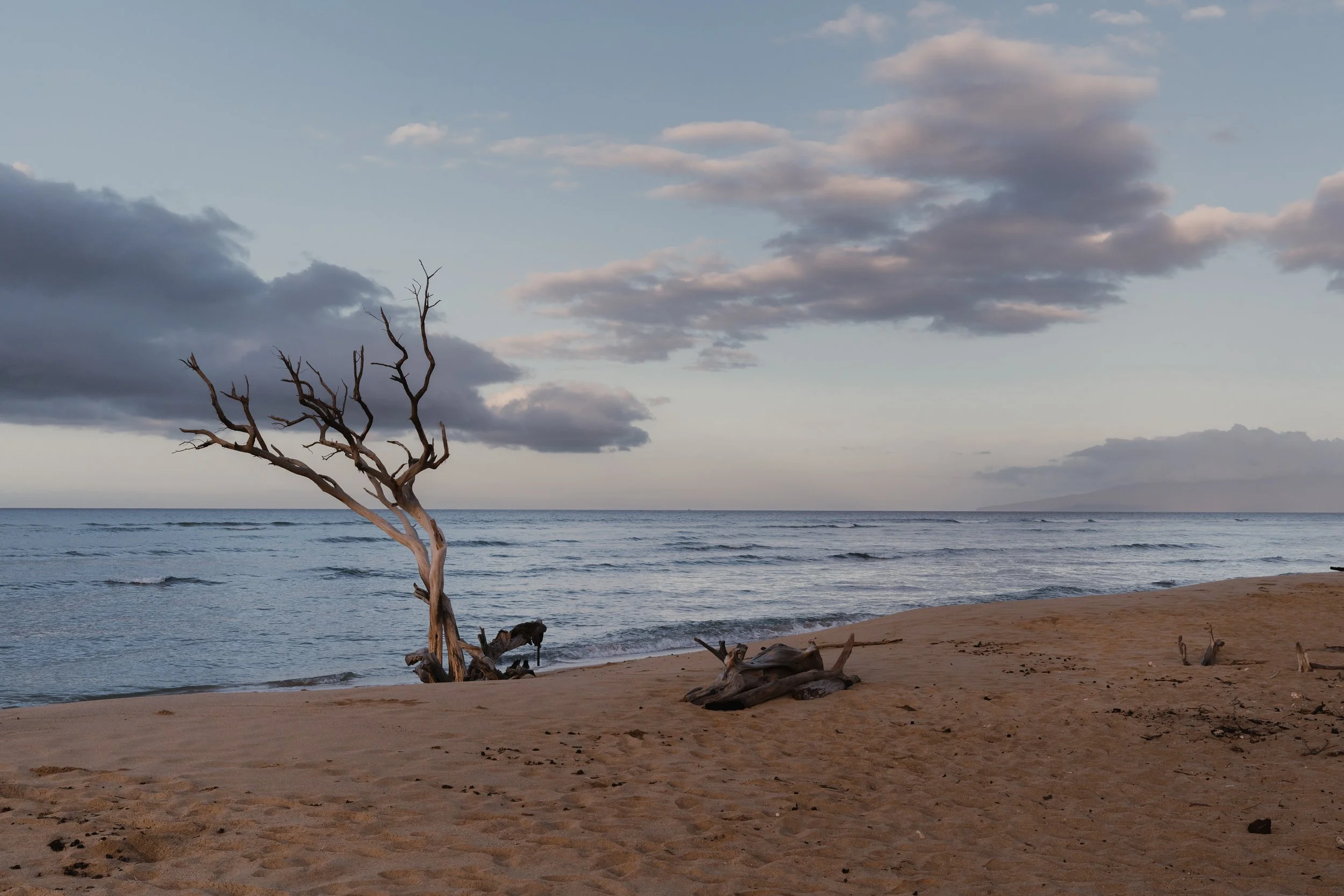 Beach-1.jpg