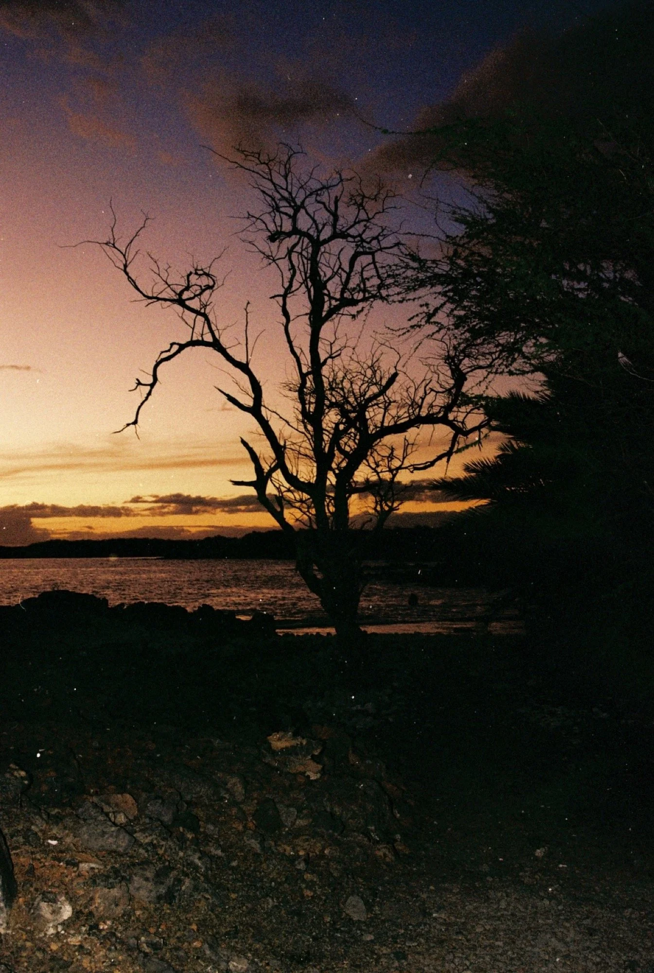 R1-08854-0034.jpeg