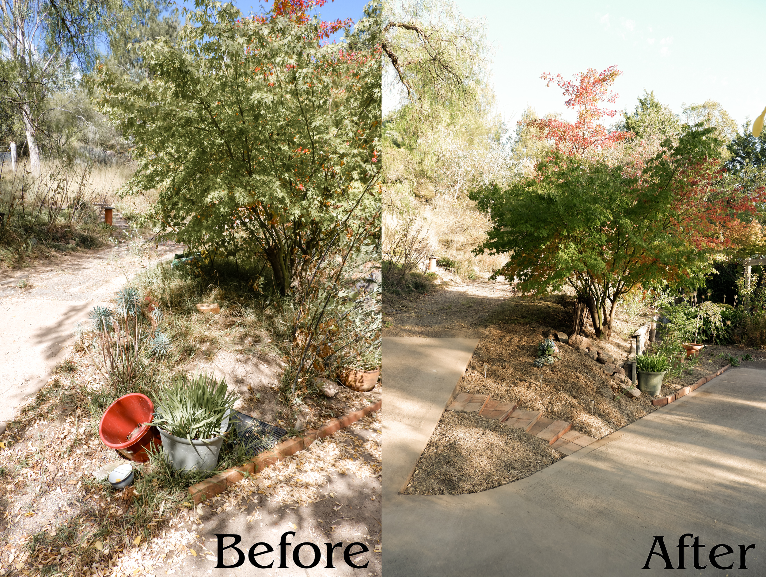 Before After 9.png