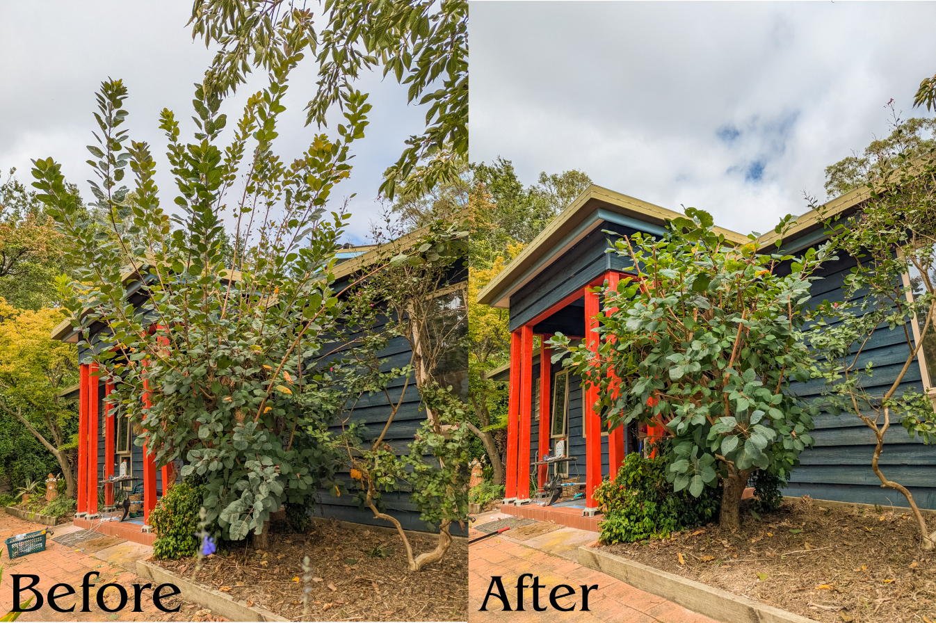 Before and After 7.png