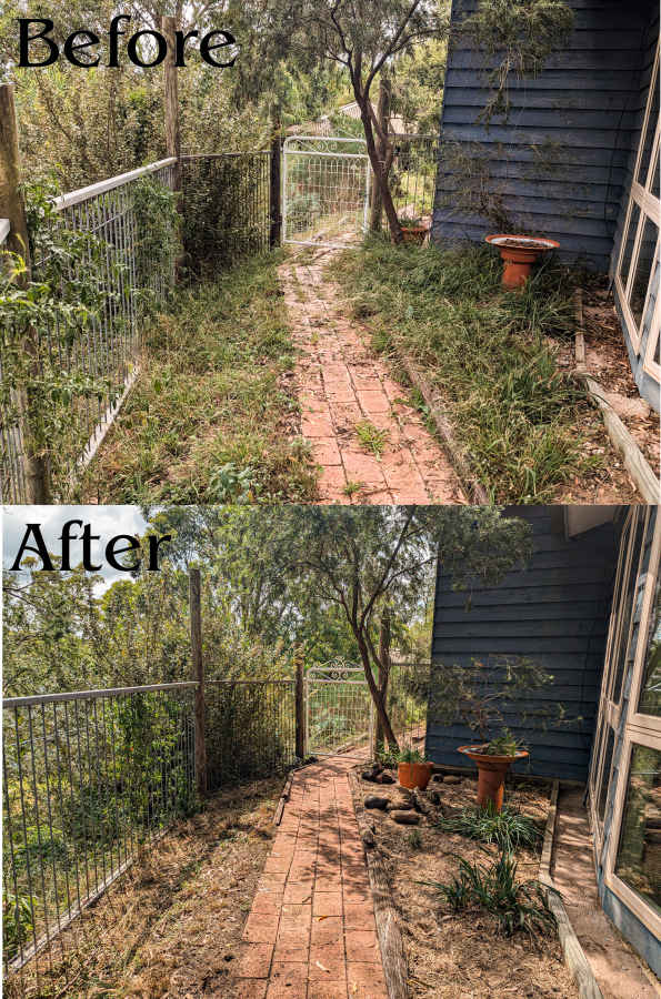 Before and After.png