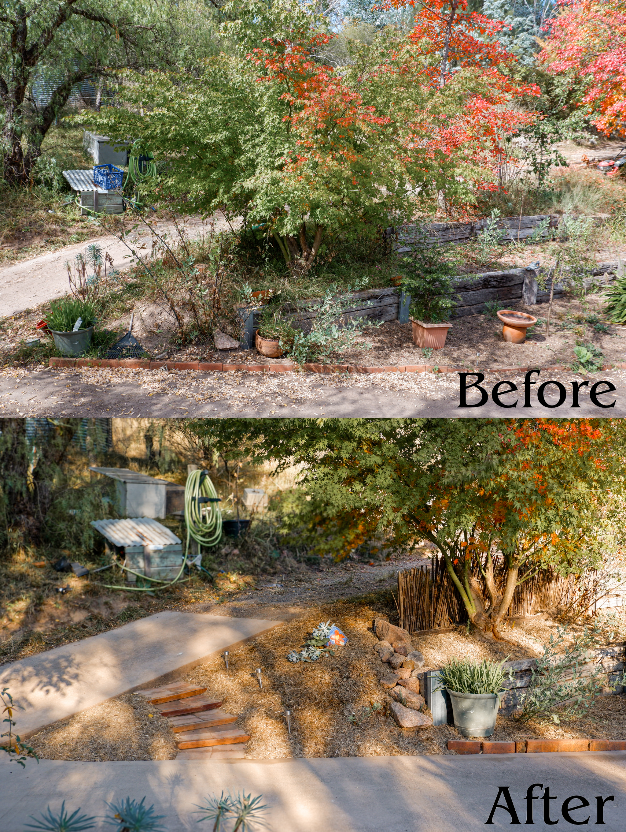 Before After 8.png