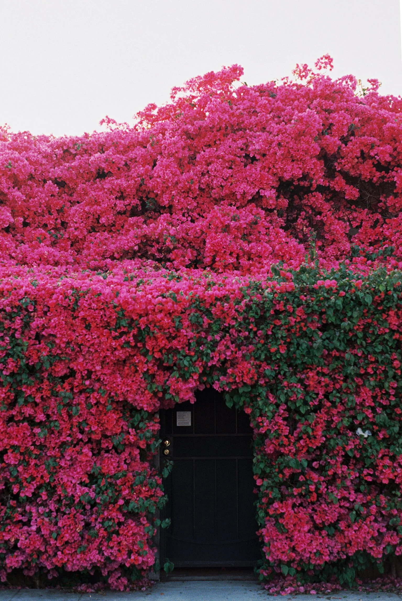Untitled-2907.jpg