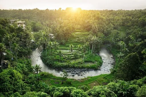 What Defines a True Balinese Villa? Architecture, Nature, and Timeless Luxury in Bali