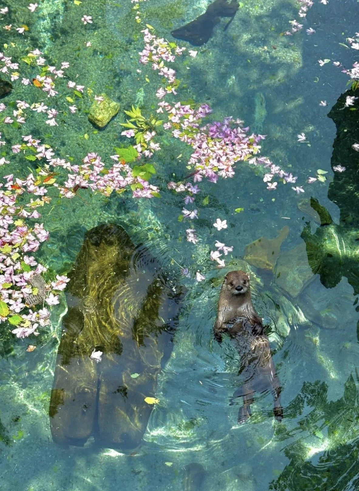 Virtual Consultation