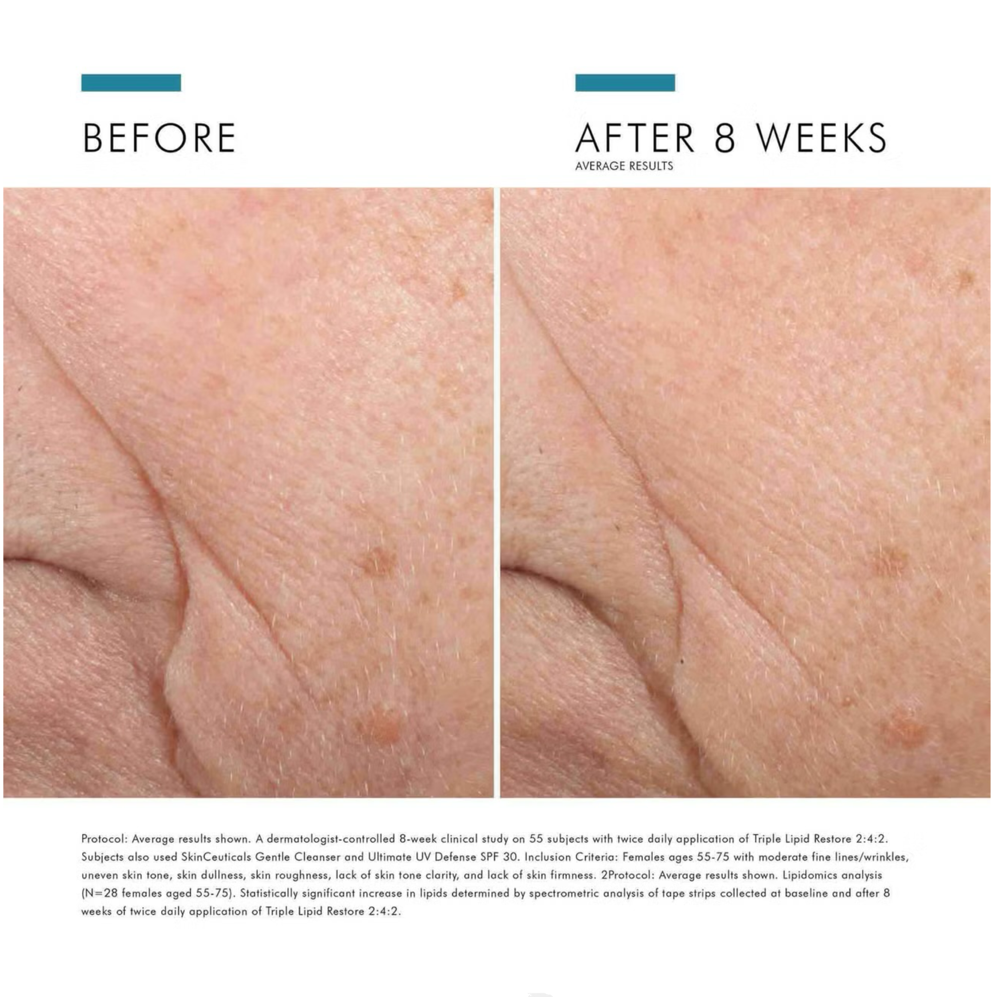 Untitled_Artwork 13.png