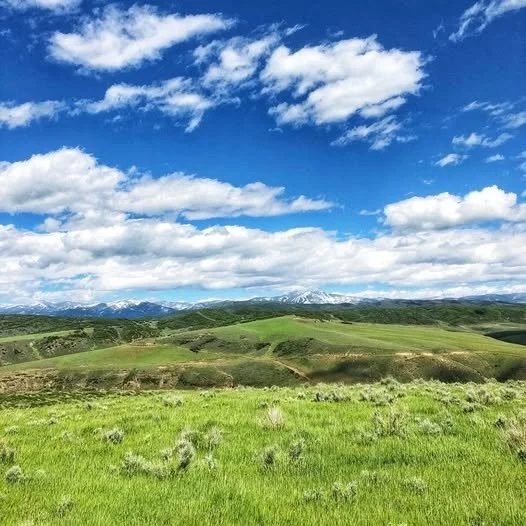Calling all Routt County property owners -  Routt County Extension needs your input!  They want to know more about the importance of rural open spaces to you. 

Please take 15 minutes to complete this survey, which examines the value that local prope