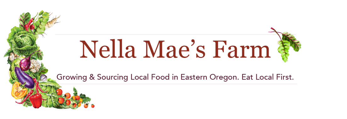 Nella Mae's Web Banner.png