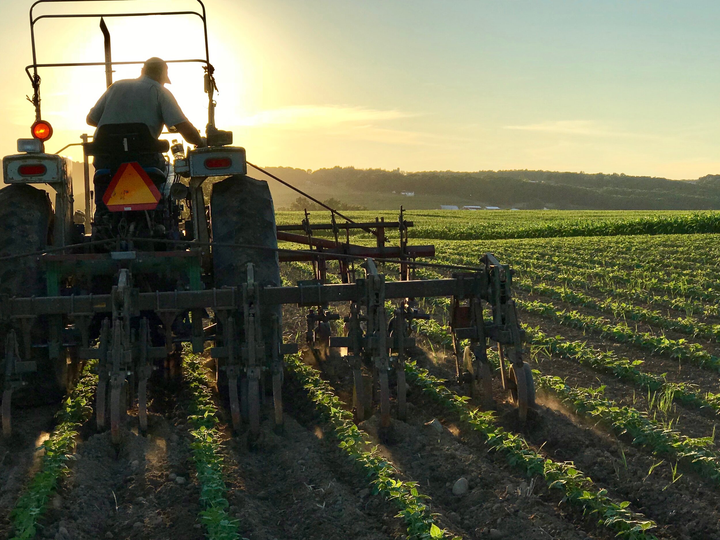Farms.jpg