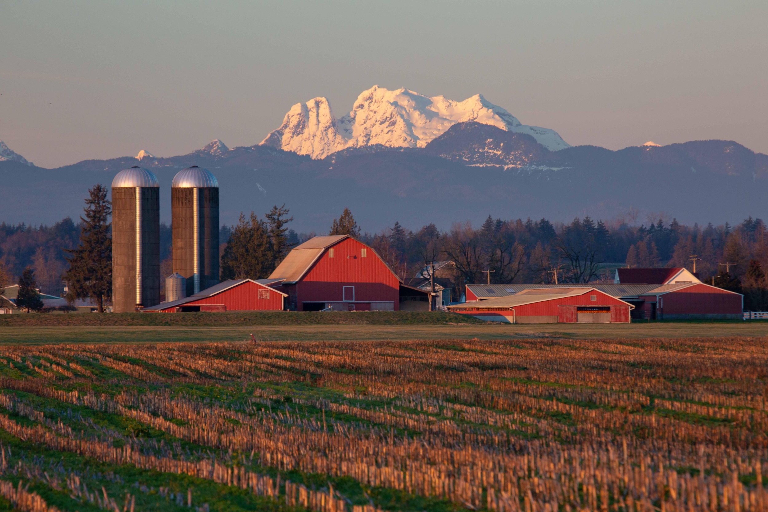 FARMS- Whatcom.jpg